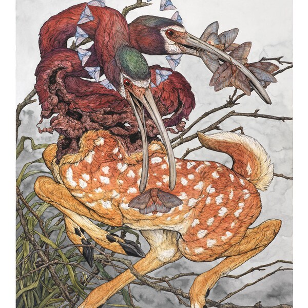 Devil Catcher: Limited Edition (AP) Print