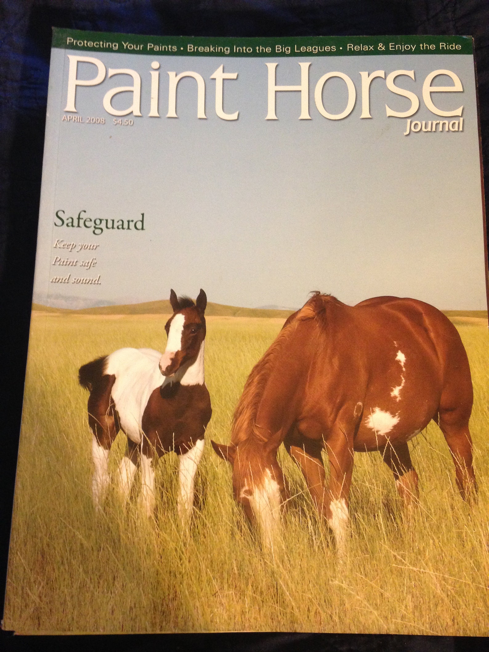 AQHA & APHA Journals from the 1970's to the 2011's Etsy