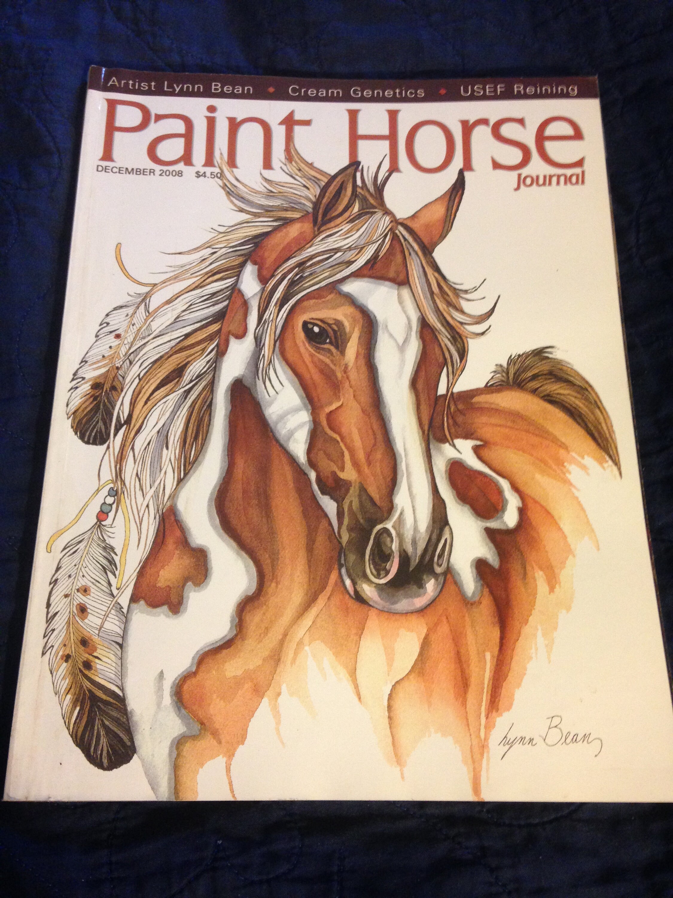 AQHA & APHA Journals from the 1970's to the 2011's Etsy