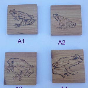 May include: Four wooden plaques featuring woodburned images of frogs. The frogs are depicted in various poses and have different markings. The plaques are labelled A1, A2, A3, and A4.