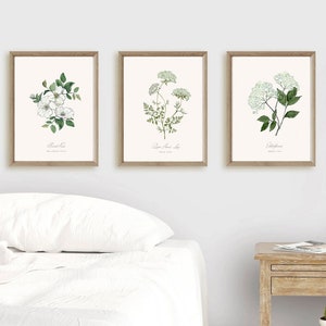 Set di 3 stampe botaniche: illustrazioni ad acquerello di fiori selvatici o erbe, opere d'arte da parete, varie dimensioni