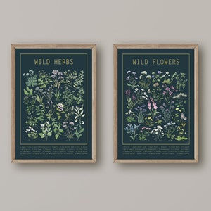 Wild Herbs & Wild Flowers Poster Set Dark | Large Wall Art | Chart