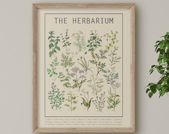 Herbarium Poster Light | Herb Wall Art | Large Wall Chart | Botanical Print