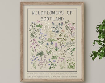 Wildflowers of Scotland Poster Light | Floral Wall Art | Wall Chart