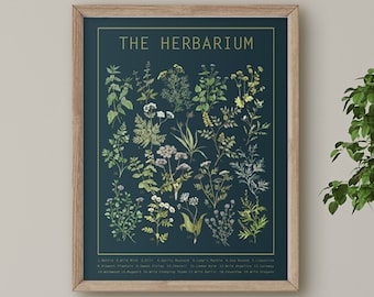 Herbarium Poster Dark | Herb Wall Art | Large Wall Chart | Botanical Print