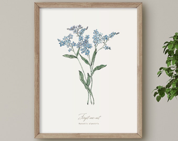 Forget-me-not, Wild Flower print, Botanical illustration, Wall Art