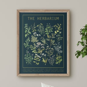 Herbarium Poster Dark | Herb Wall Art | Large Wall Chart | Botanical Print