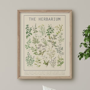 Herbarium Poster Light | Herb Wall Art | Large Wall Chart | Botanical Print