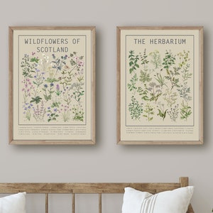 Herbarium & Wildflowers of Scotland Poster Set Light Wall Art Chart