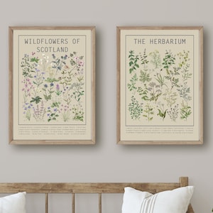 Herbarium & Wildflowers of Scotland Poster Set Light Wall Art Chart