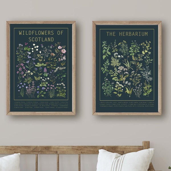 Herbarium & Wildflowers of Scotland Poster Set Dark | Large Wall Art Chart