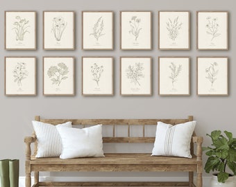 12 Botanical Prints: Neutral Minimalist Line Drawing, Home Wall Art set