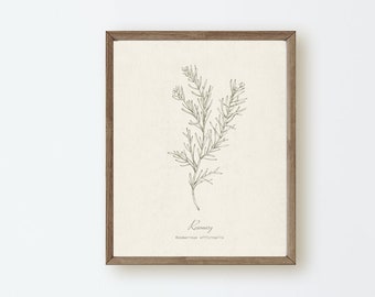 Rosemary Botanical Herb, Neutral Minimalist Line Drawing, Wall Art Print