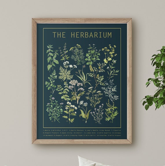 Herbarium Poster Dark | Herb Wall Art | Large Wall Chart | Botanical Print