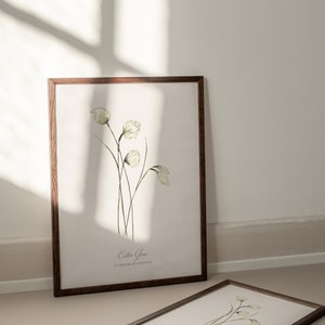 May include: A framed botanical illustration of white flowers with green stems. The print is titled "Eastern Grass" with the scientific name "Fritillaria persica" written below.