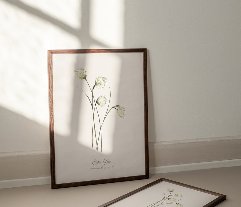 May include: A framed botanical illustration of white flowers with green stems. The print is titled "Eastern Grass" with the scientific name "Fritillaria persica" written below.