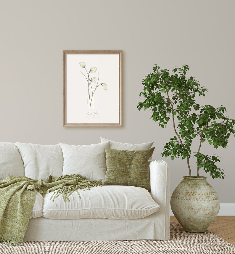 May include: A framed botanical illustration of white flowers with green stems and leaves. The print is titled "Cotta Grass" and is displayed on a white wall above a white couch with green throw pillows and a green throw blanket.