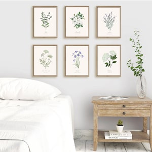 6 Botanical Prints Set: Wild Flower or Herb Watercolour Illustrations, Gallery Wall Art, Various sizes image 2