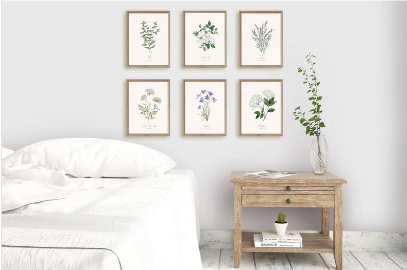 6 Botanical Prints Set: Wild Flower or Herb Watercolour Illustrations, Gallery Wall Art, Various sizes image 2