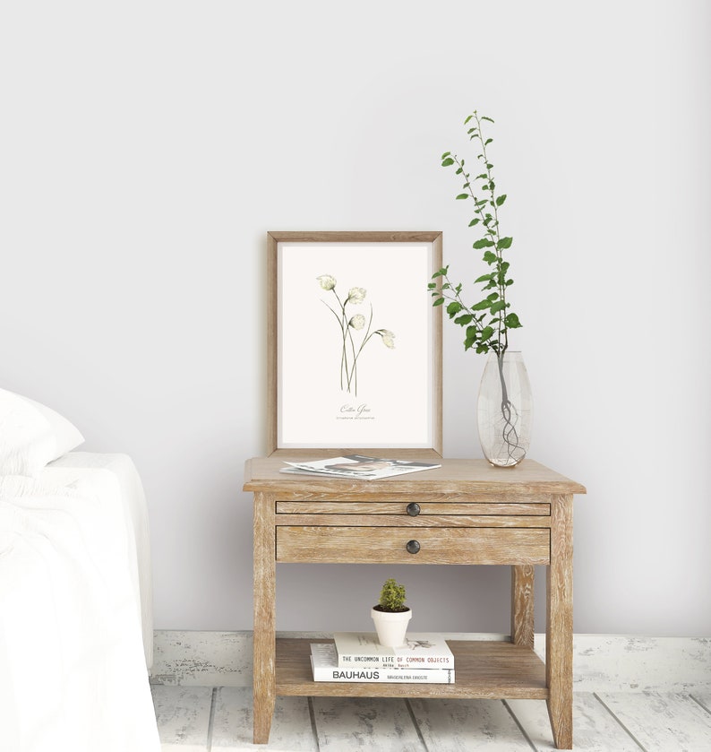 May include: A white wooden nightstand with two drawers and a lower shelf. A framed botanical illustration of white flowers with the text "Cotton Grass" is on the top shelf. A small potted succulent plant is on the shelf below the book "The Unknown Life of Common Objects" by Bauhaus.