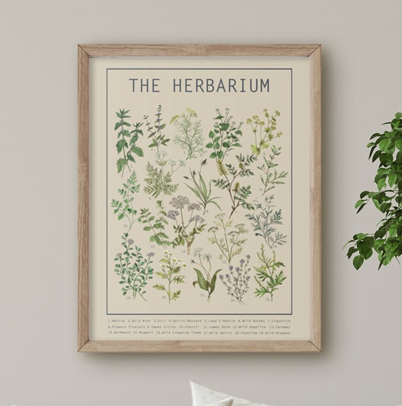 Herbarium Poster Light | Herb Wall Art | Large Wall Chart | Botanical Print