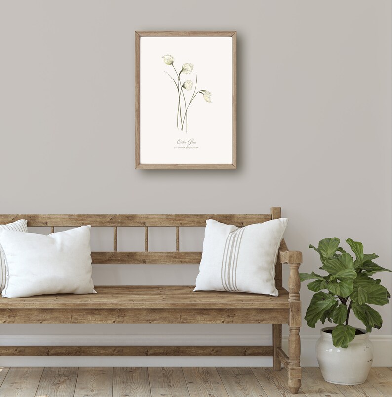 May include: A framed watercolor illustration of a white flower with green stems. The illustration is titled "Cutter Grass" and includes the scientific name of the flower.