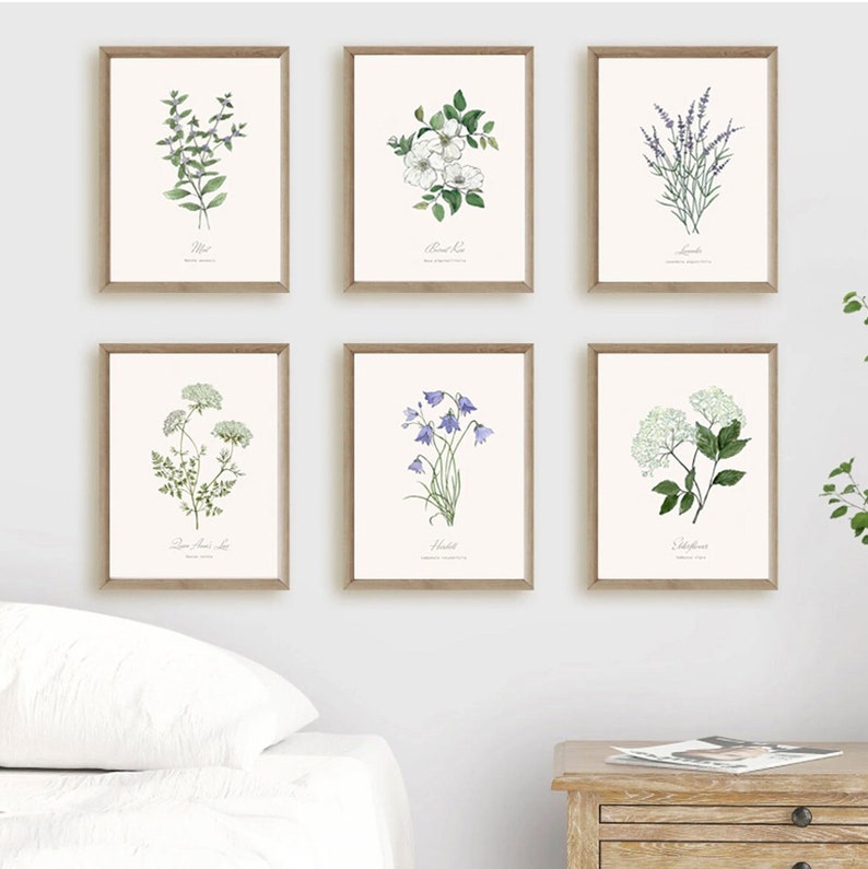 6 Botanical Prints Set: Wild Flower or Herb Watercolour Illustrations, Gallery Wall Art, Various sizes image 1