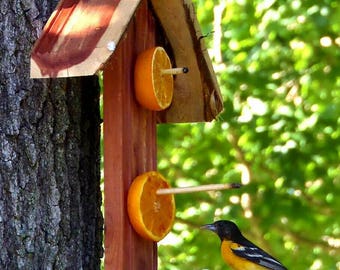 Oriole Bird Feeder Bird Feeder Bird Watching Hanging Oriole Etsy