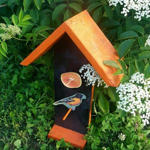 Oriole bird feeder, Bird feeder, Bird watching, Hanging oriole bird feeder, Double sided bird feeder, Orange bird feeder
