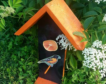 Comedero para pájaros Oriole, Comedero para pájaros, Observación de aves, Comedero para pájaros colgante oriole, Comedero para pájaros de doble cara, Comedero para pájaros naranja