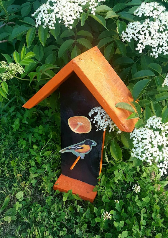 Oriole Bird Feeder Bird Feeder Bird Watching Hanging Oriole Etsy