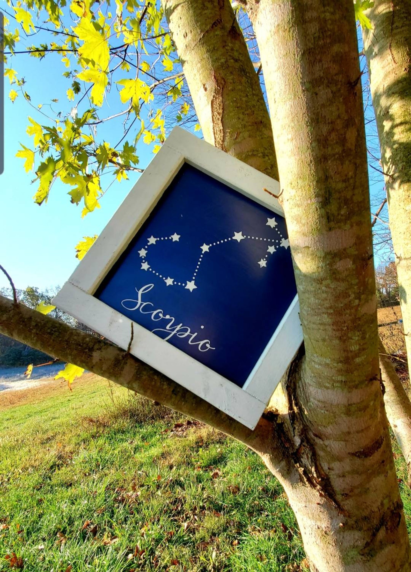 Wooden Zodiac Signs Horoscope Sign Decor Boho Dorm Room Etsy