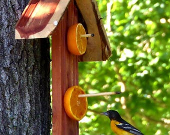 Oriole bird feeder, Bird enthusiasts, Eastern Cedar Oriole Feeder, Bird watching must-have, Hanging bird feeder, Christmas gift idea