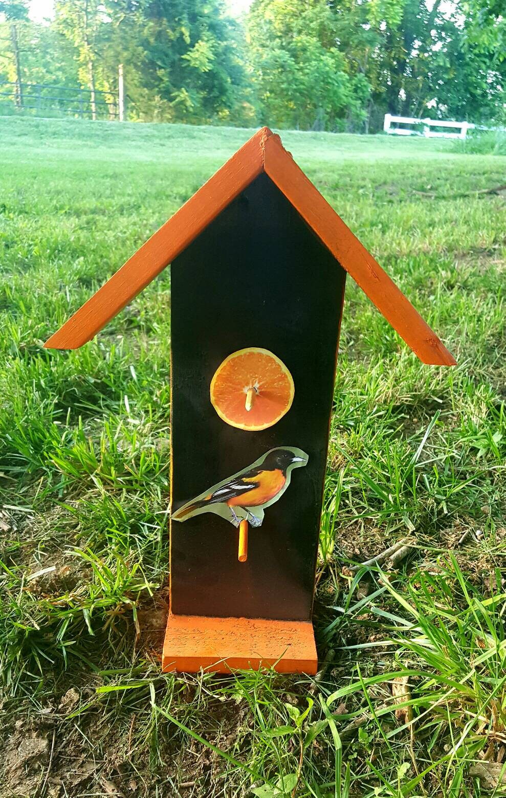 Ultimate Zedernholz Oriole Vogelfutterstation – Für Gelee & Obst, Mit Dach