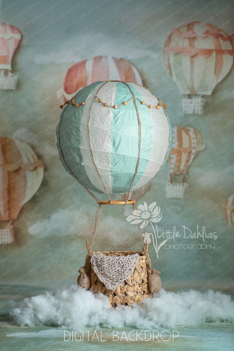 Newborn Hot Air Balloon Digital Backdrop With Clouds Etsy