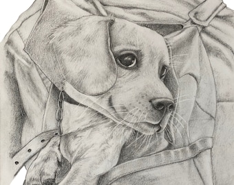 Custom Pet Portrait Portrait from Photo Graphite Pencil Pet Portrait Commission Portrait Dog Portrait Hand Drawn