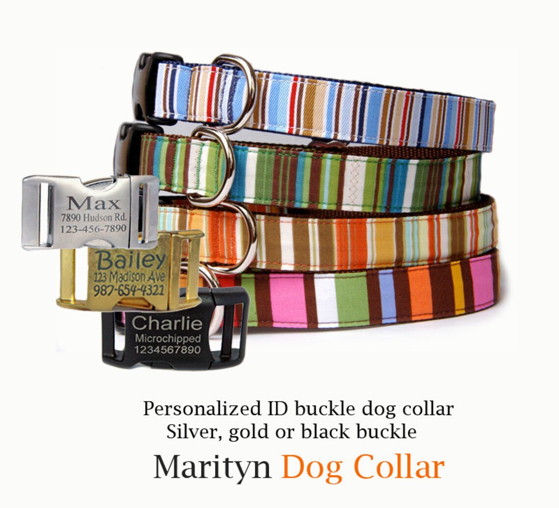 Dog collar w/ personalized ID buckle Engraved buckle pet Etsy