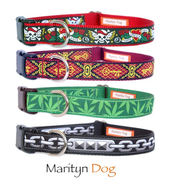 Are Chain Collars Bad For Dogs