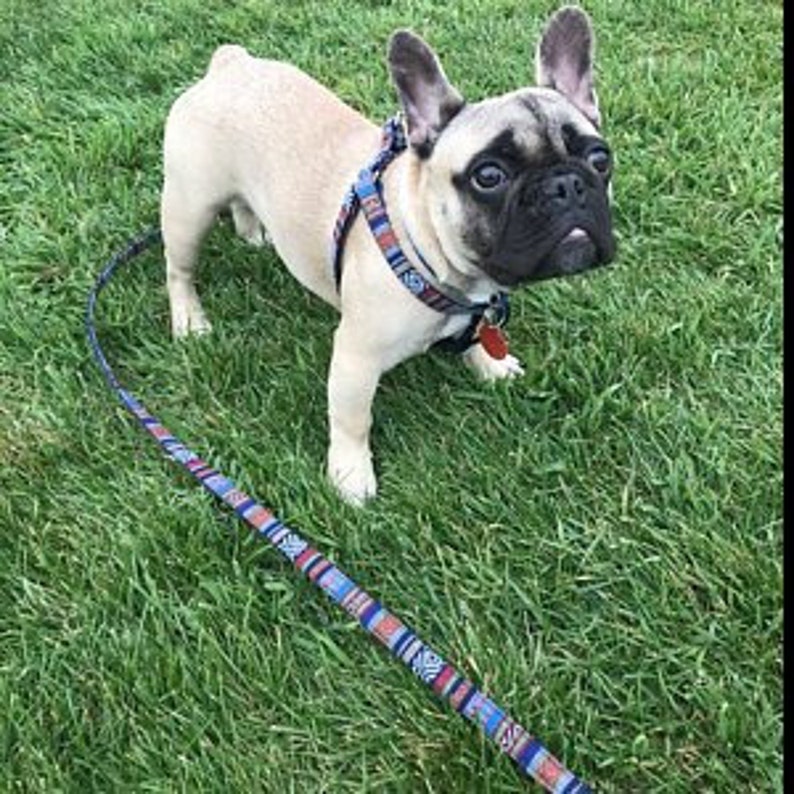 chainmail dog harness