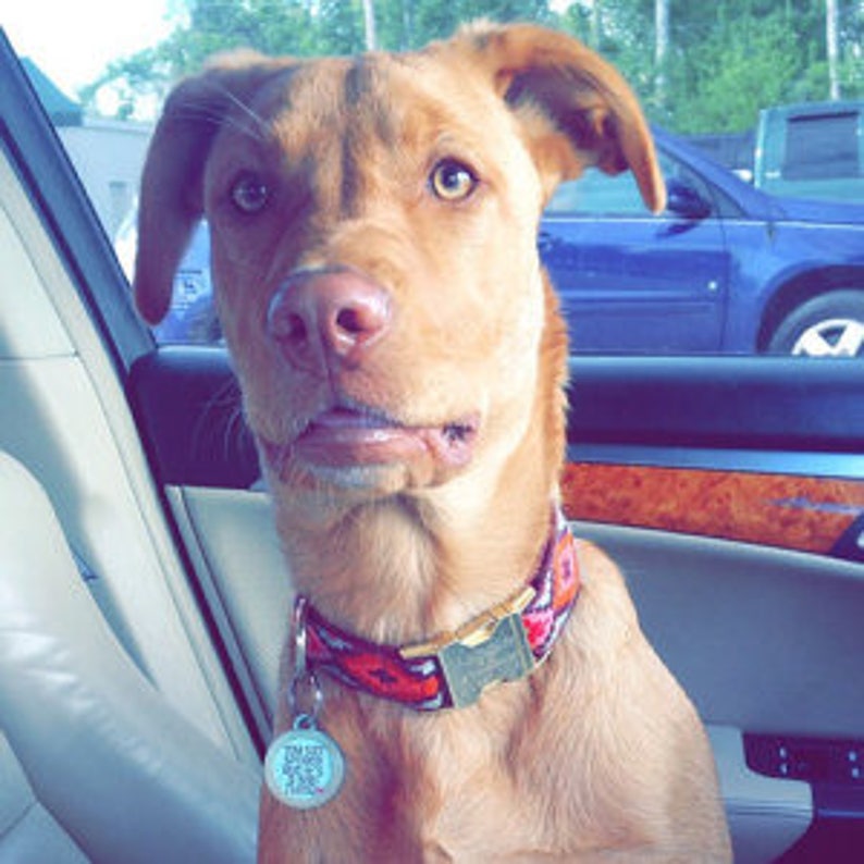 Mosaic Dog Collar Boho Colorful Boy Dog Collar Cute Girl Dog Etsy