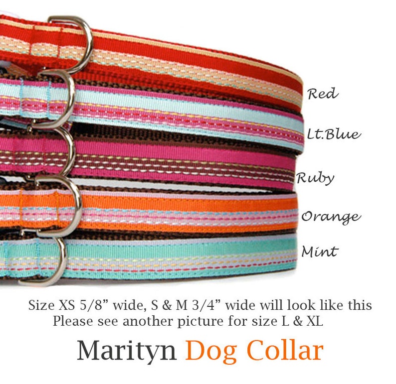 Engraved Buckle Dog Collar Personalized ID Dog Collar With Red Etsy