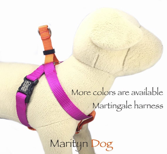 Martingale dog harness Personalized laser lettering on black Etsy