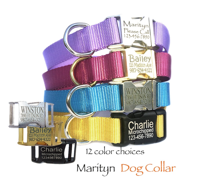 Personalized dog collar Laser engraved dog collar Metal buckle pet ID tag dog collars Dog ID tag pet collar Gift for dog lover 