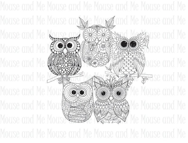 5 Hand drawn Owls, Adult coloring pages, Zentangle Coloring Pages, Mindfulness Gift, Stress Relief, Anxiety Relief, coloring printable owls image 1