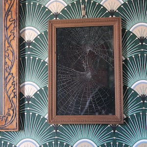Op de afbeelding: Een rechthoekige houten spiegel met een gebarsten oppervlak, dat lijkt op een spinnenweb. De spiegel hangt aan een muur met een groen en wit waaiervormig patroon. Andere ingelijste items zijn zichtbaar.