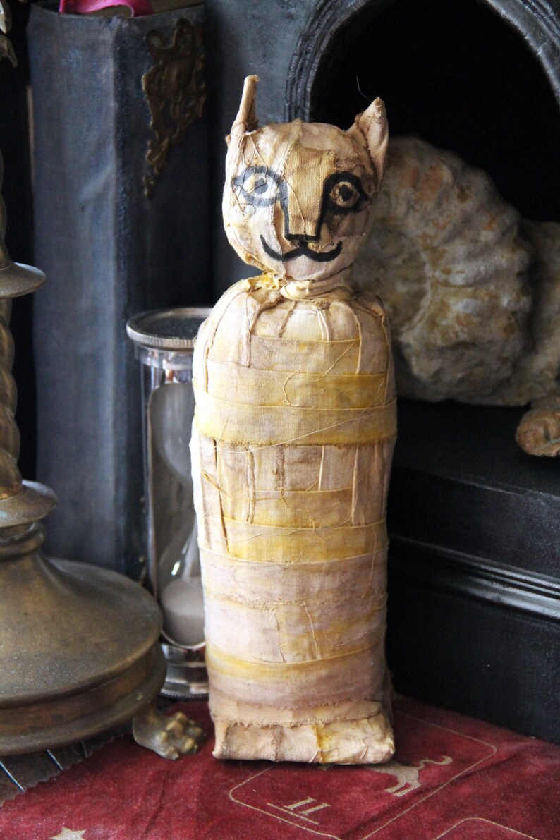 Cat mummy egyptian mummy false taxidermy historical copy Etsy