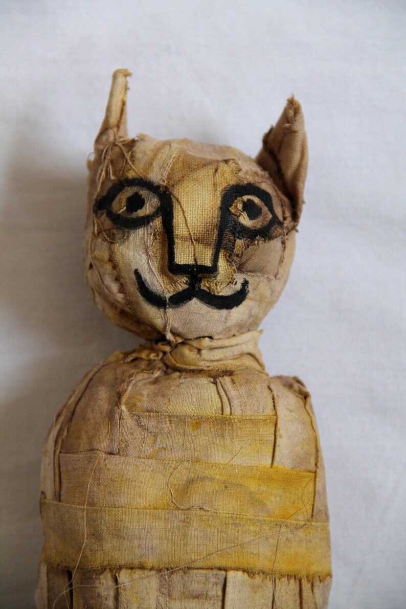 Cat mummy egyptian mummy false taxidermy historical copy Etsy