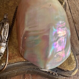 May include: A large, iridescent, pearlescent shell with a smooth surface. The shell has a range of colors, including pink, purple, and green. A small, silver-toned religious figure is attached to a chain. The shell rests on a decorative, gold-toned base.