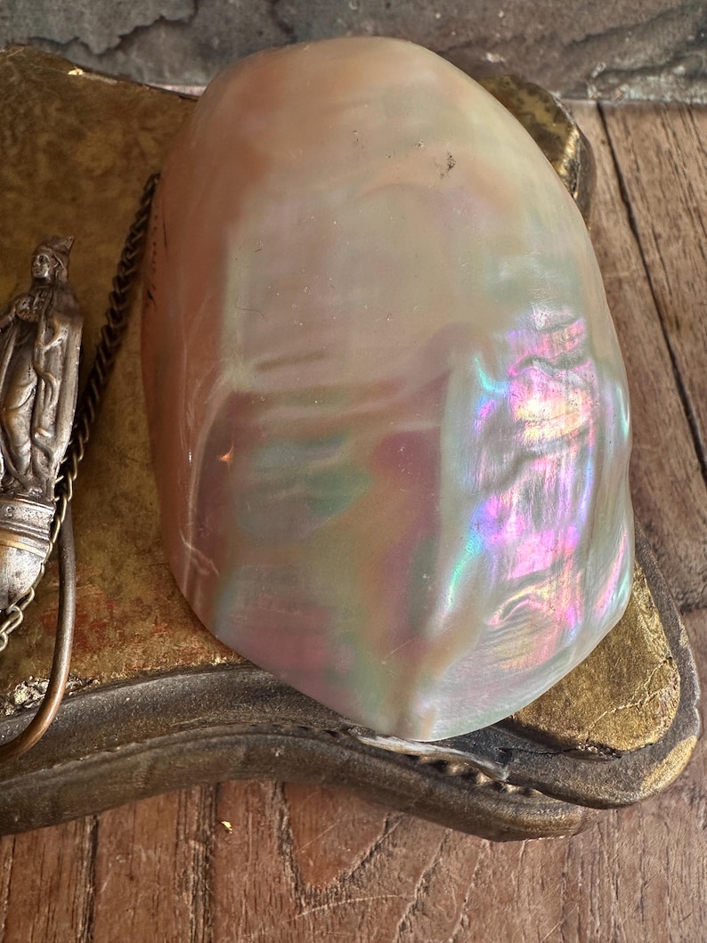 May include: A large, iridescent, pearlescent shell with a smooth surface. The shell has a range of colors, including pink, purple, and green. A small, silver-toned religious figure is attached to a chain. The shell rests on a decorative, gold-toned base.