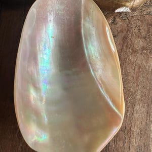 May include: A large, iridescent pendant with a pearlescent sheen. The pendant is a light cream color with hints of pink, blue, and green. It is suspended from a delicate chain. The pendant has a smooth, polished surface.